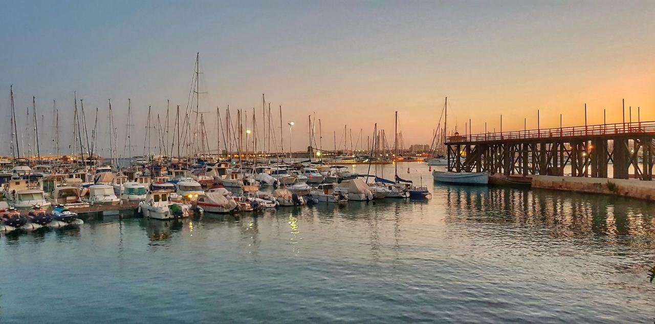 Torrevieja Apartment Kültér fotó